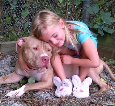 Little Girl Hugging PitBull